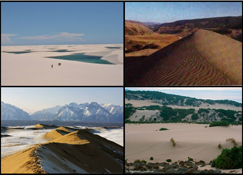 Sand Dunes