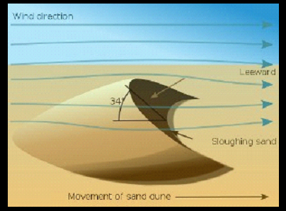 Wind Direction