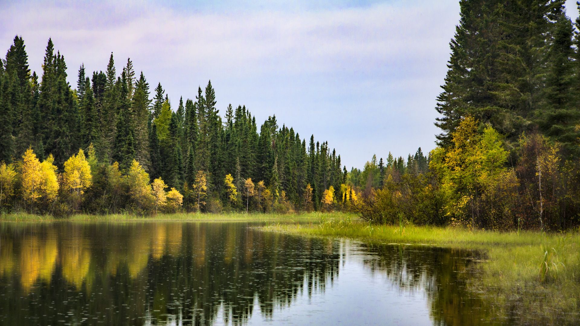 A waterway in the boreal forest