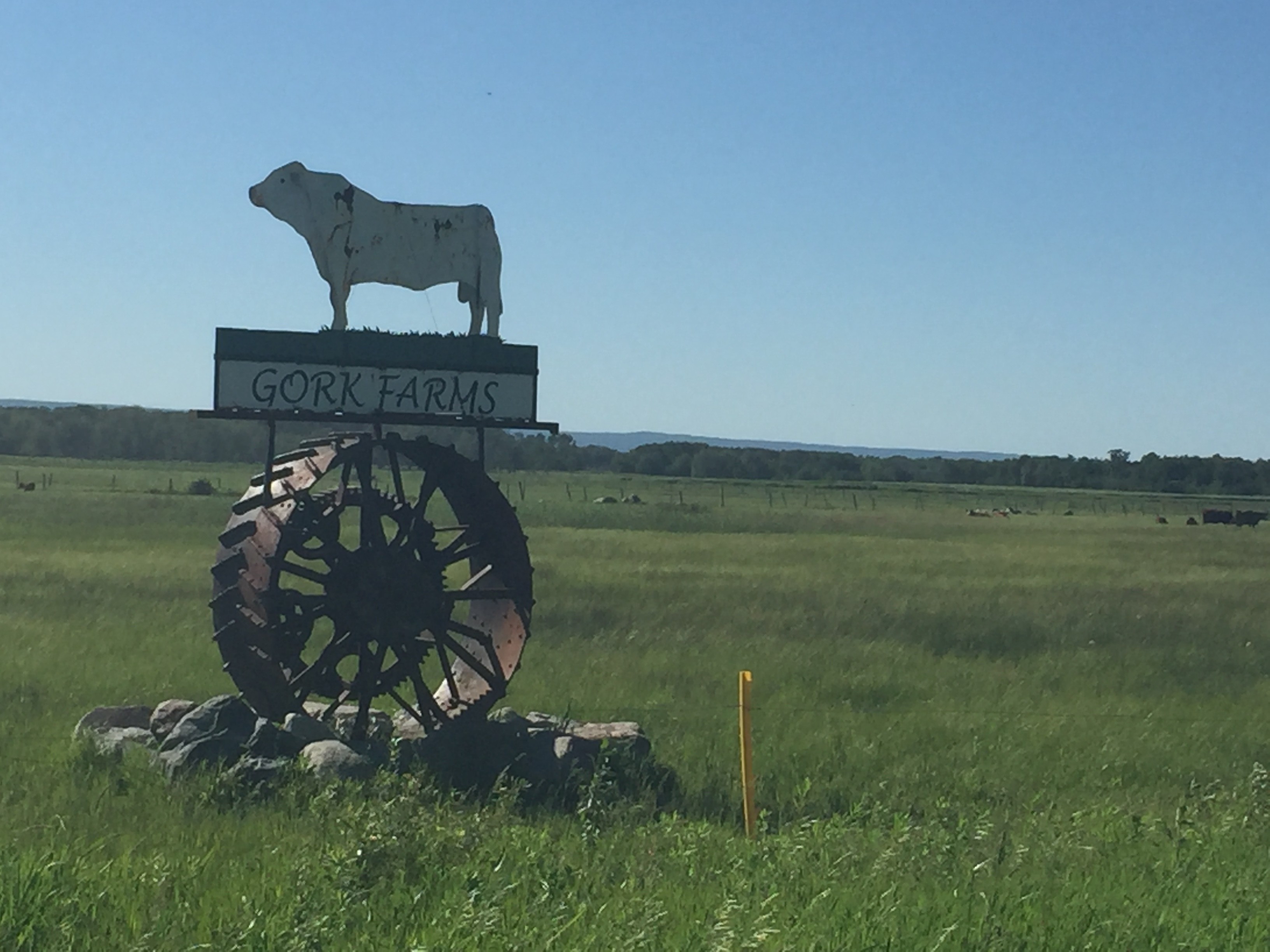 Gork Farms