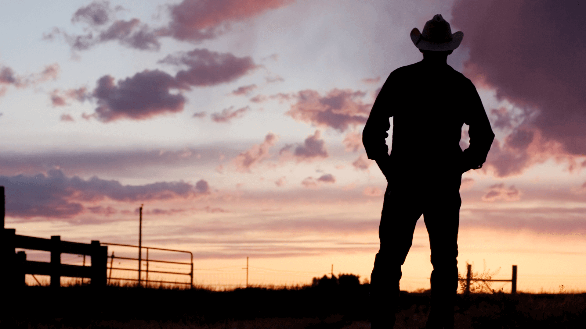 silhouette of cowboy at sunet silhouette of cowboy at sunet