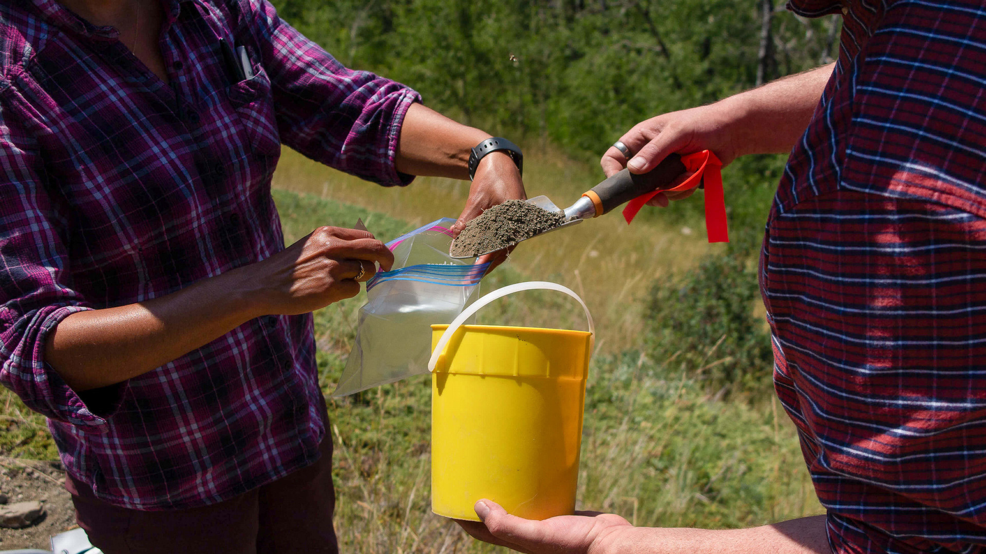 two people pouring soil sample into a yellow bucket two people pouring soil sample into a yellow bucket