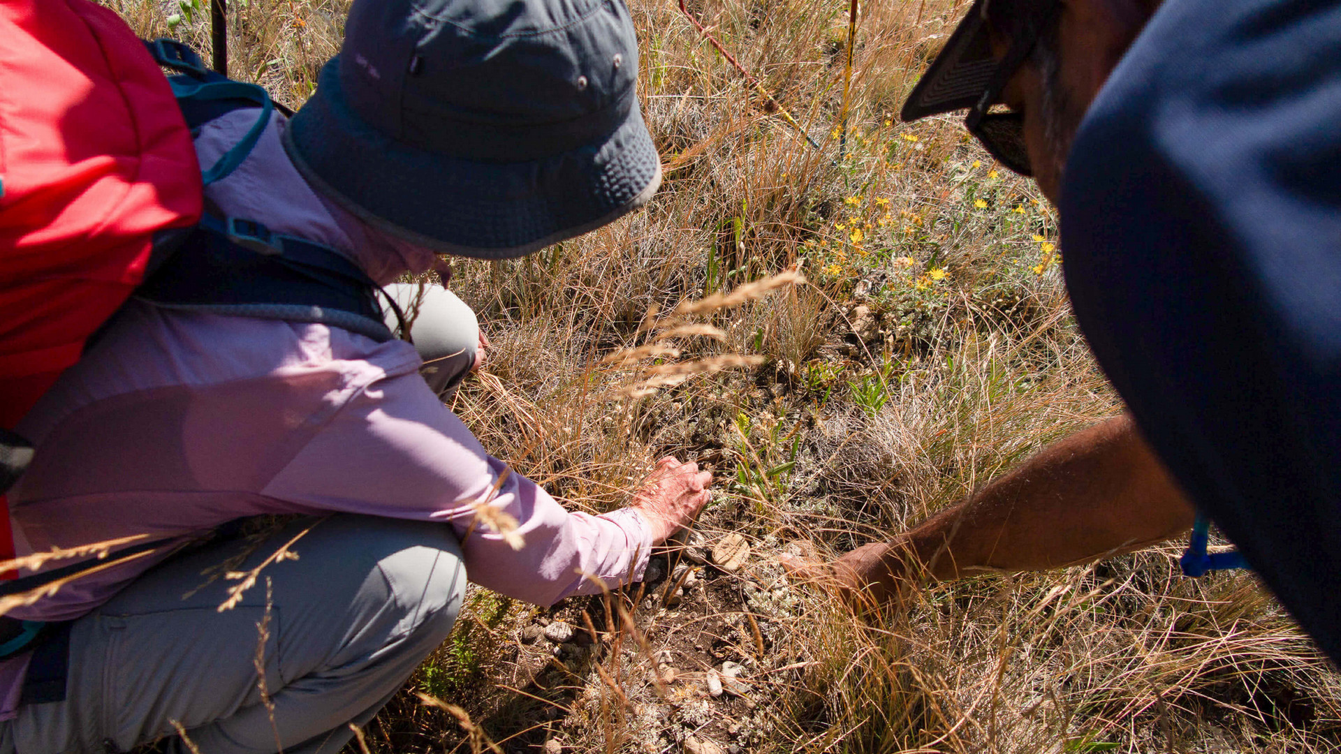 two people reach toward rocky soil two people reach toward rocky soil