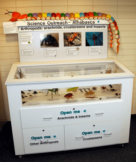 Travelling exhibit on arthropods loaned to schools and libraries. Photo: R.G. Holmberg.