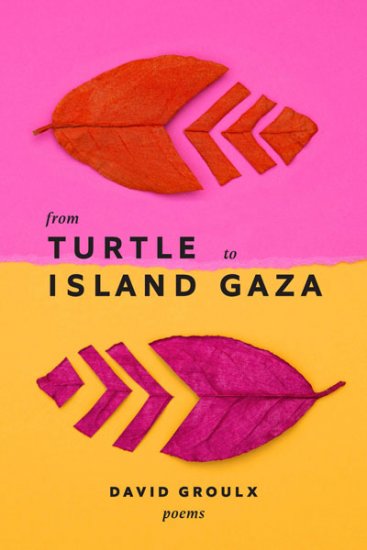 From Turtle Island to Gaza book cover