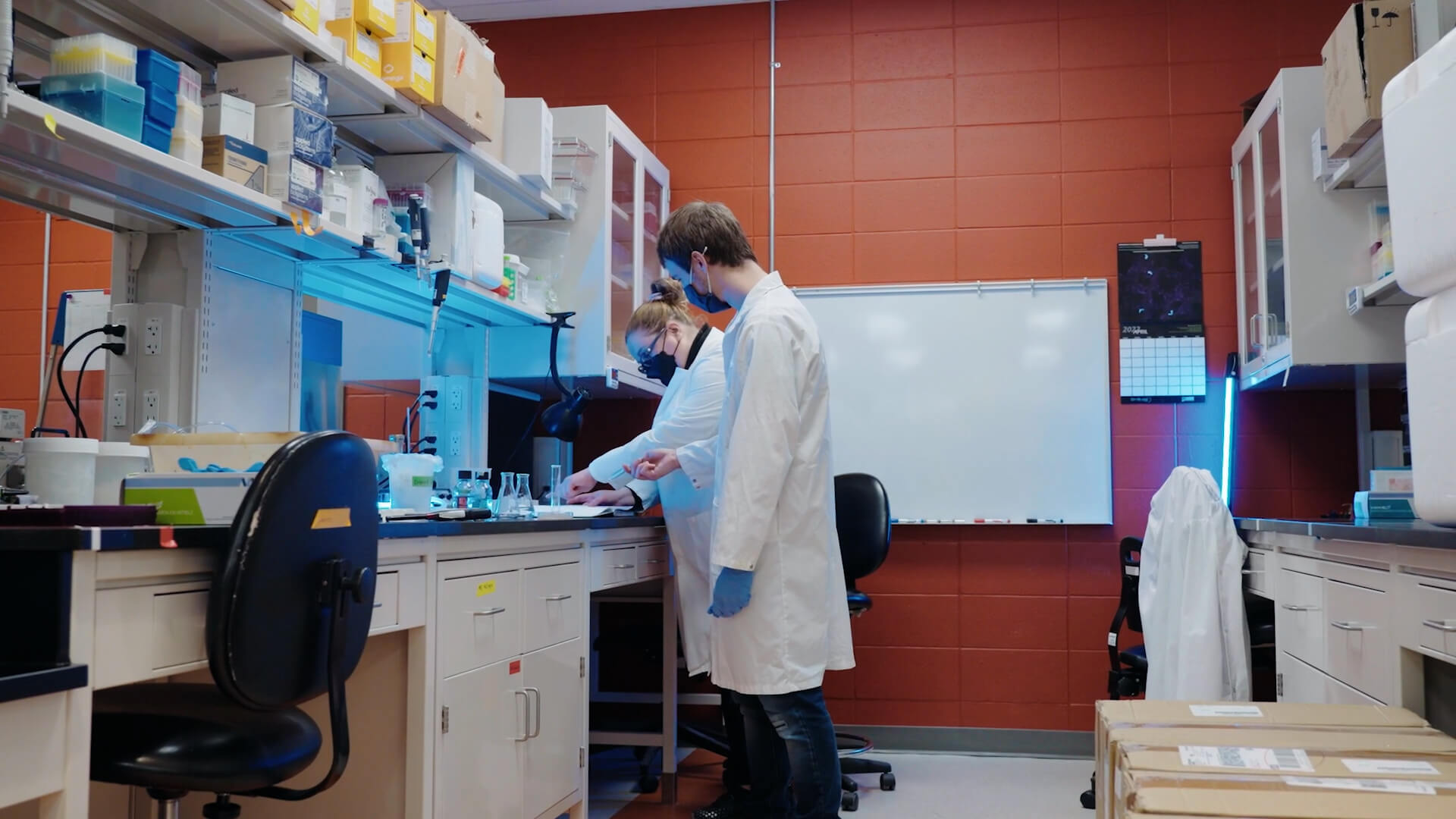 Two technicians working in a laboratory
