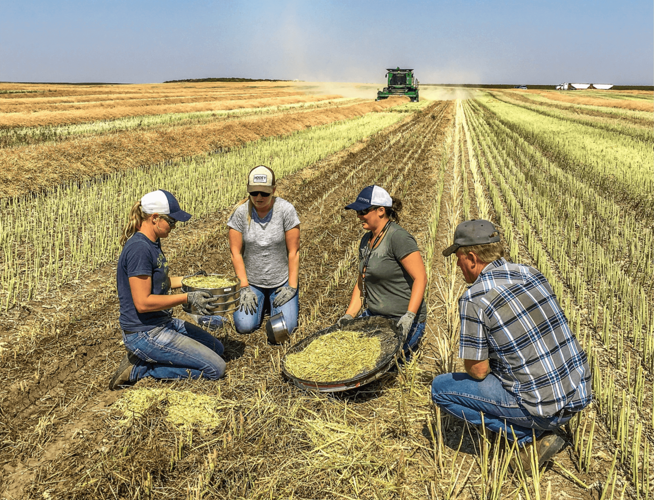 Four agrologists working in the field