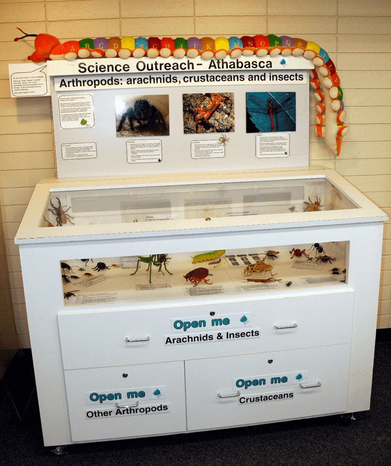 Picture12 Travelling exhibit on arthropods loaned to schools and libraries. Photo: R.G. Holmberg.