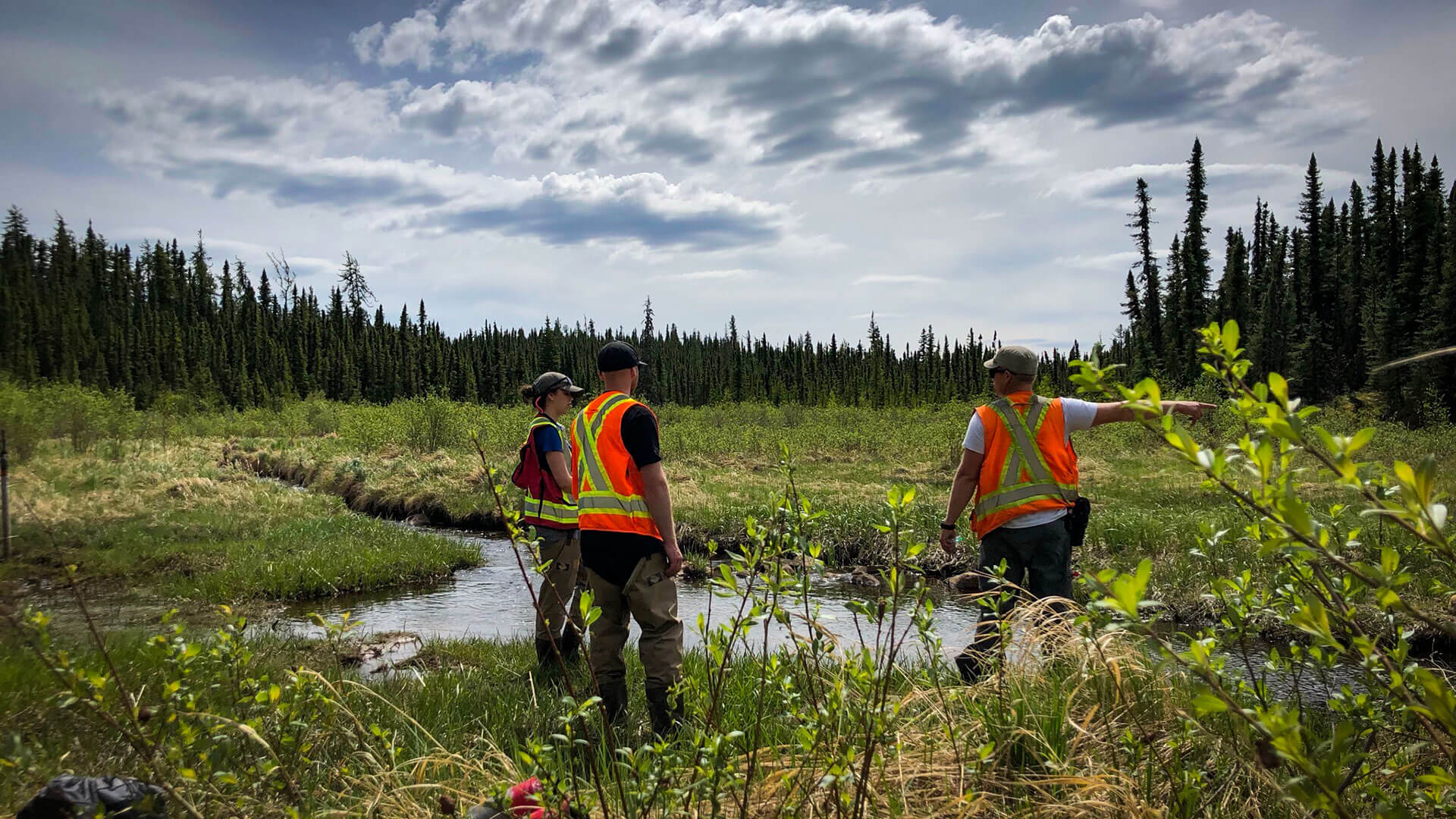 water-monitoring-1920-1080 research team in a wetland bog