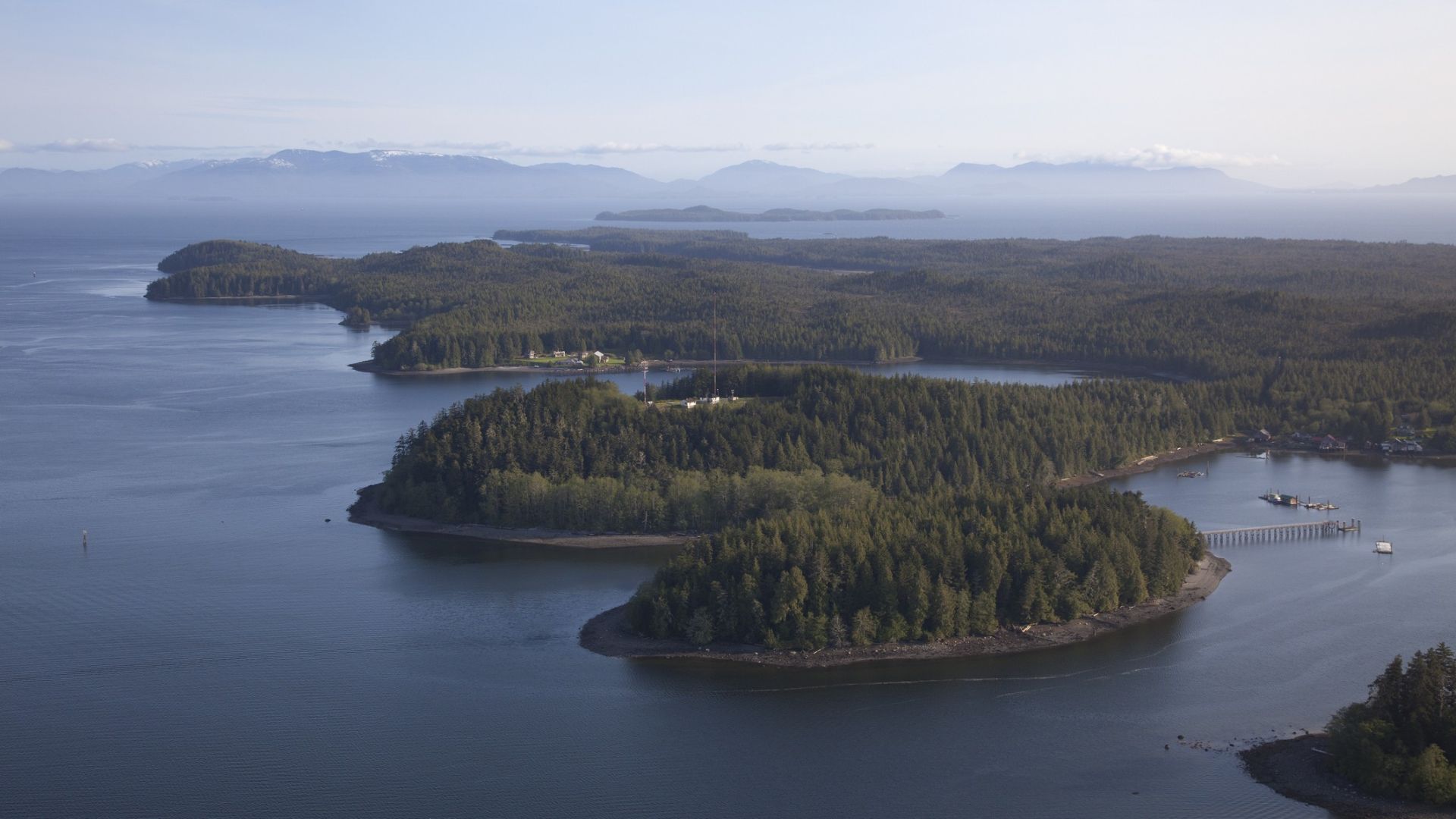 Aerial photo of treed islands in Haida Gwaii
